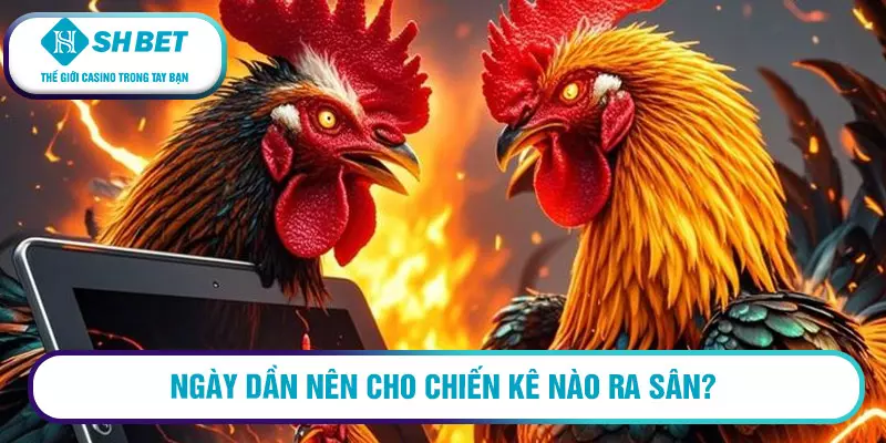 Gà ngũ sắc